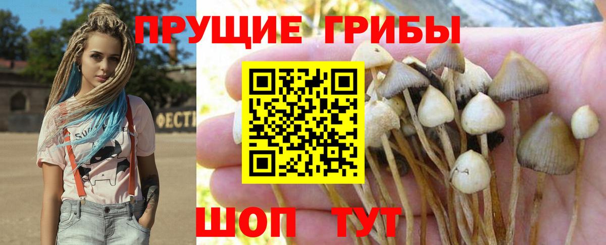 Псилоцибиновые грибы MAGIC MUSHROOMS Тамбов