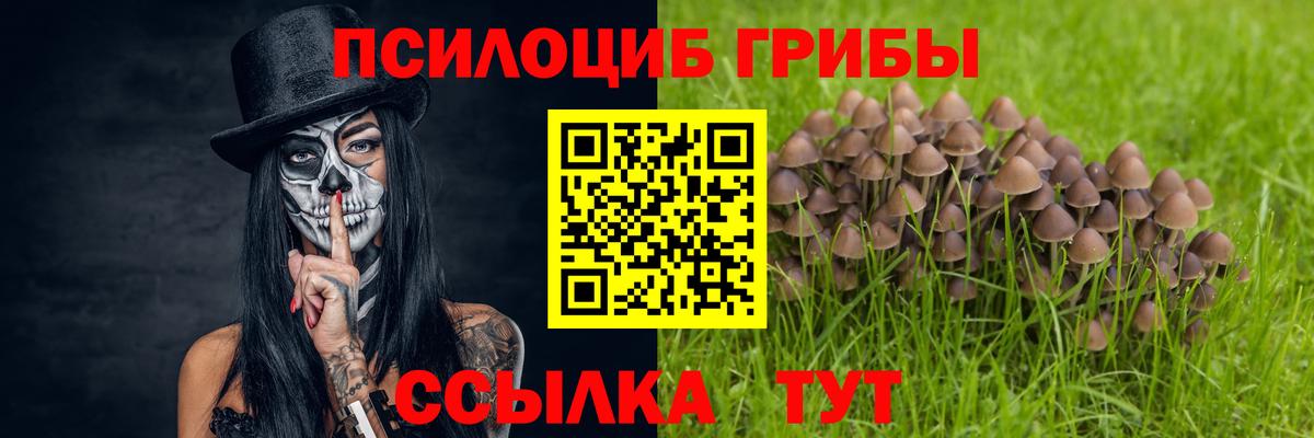 Псилоцибиновые грибы мухоморы  Вход с VPN  Тамбов 